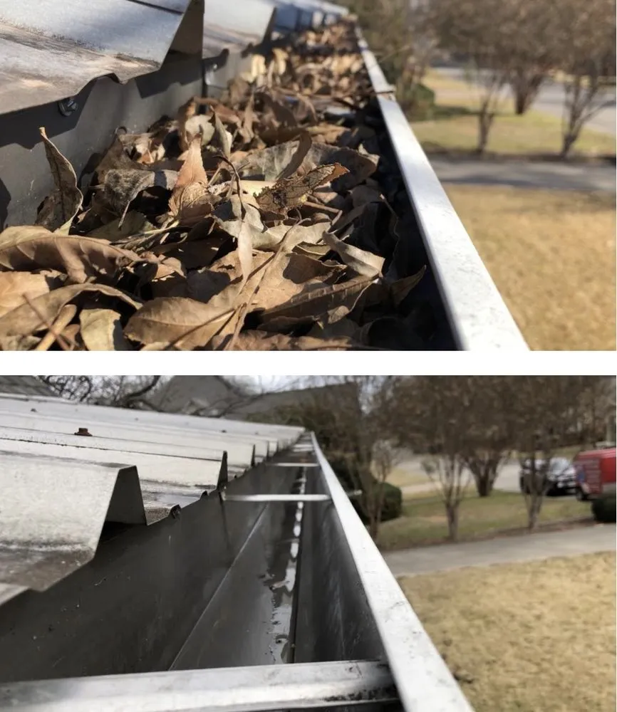 Professional lawn care service in Bowie, MD - Icon landscape