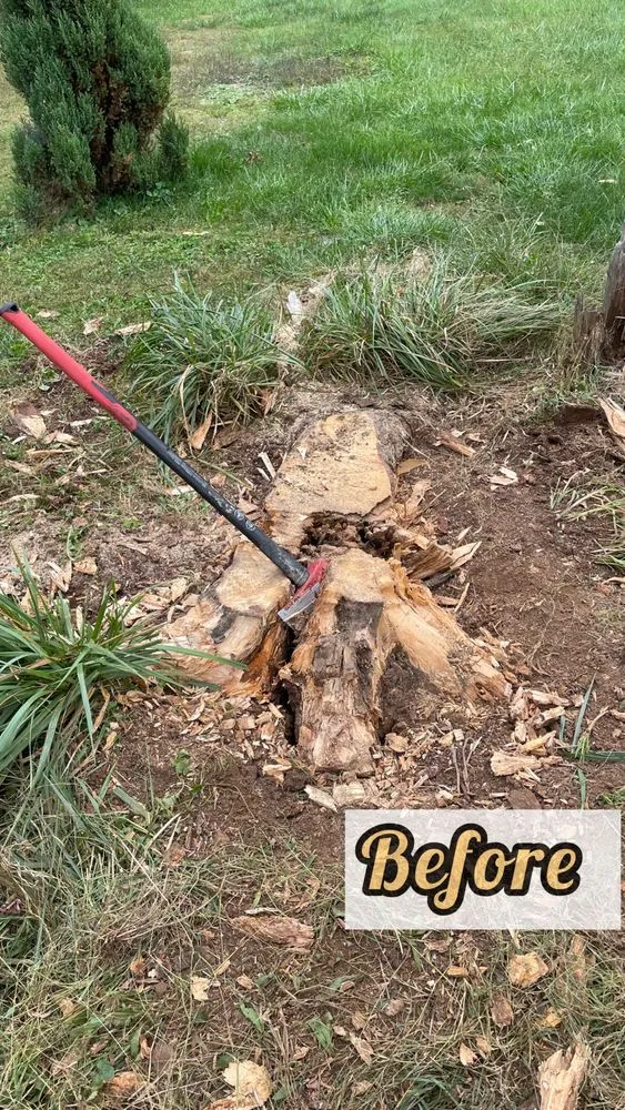 Expert garden landscaping in Bowie, MD - Icon landscape