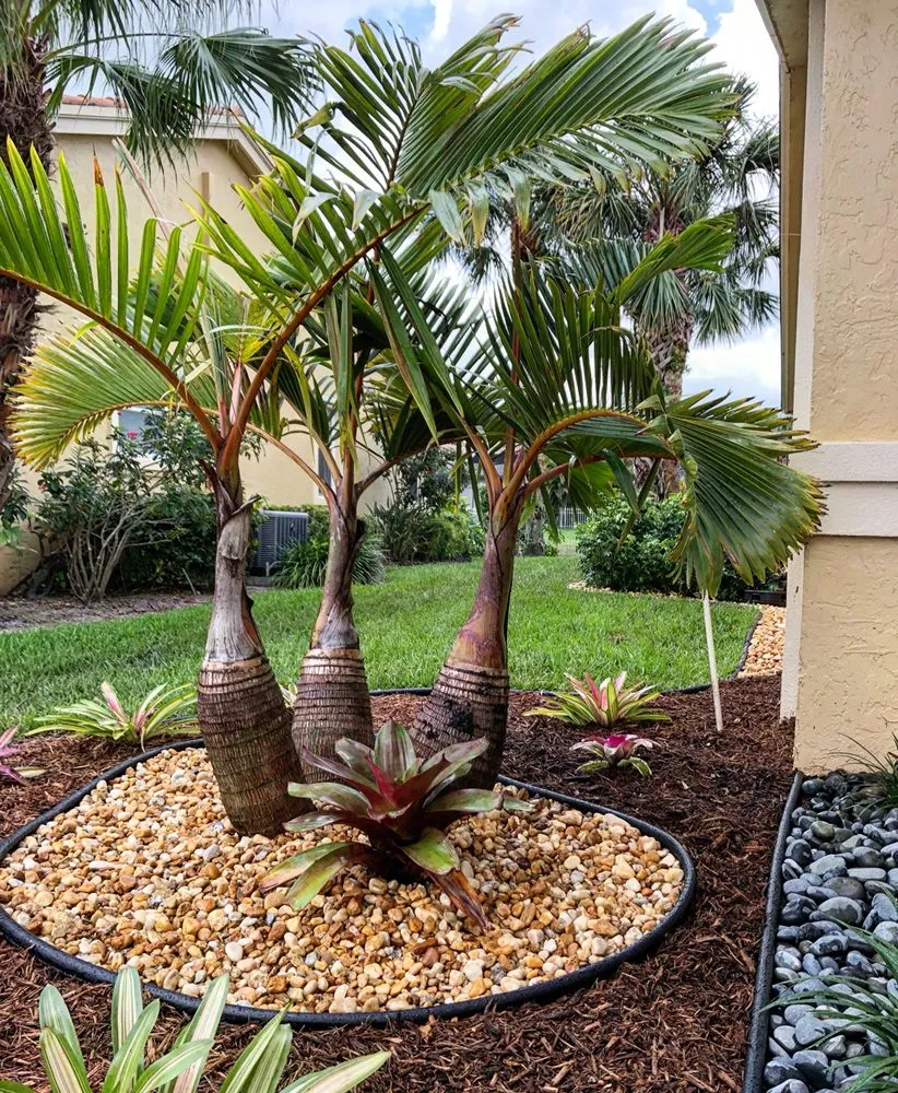 Custom landscape installation in Margate, FL - ICON Landscape Solutions