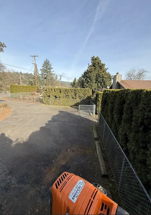 Trusted yard cleanup service for residential properties across Eugene, OR - Icon Landscaping