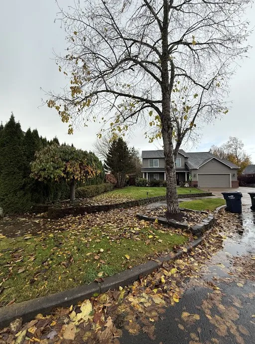 Top-rated landscape installation in Eugene, OR - Icon Landscaping