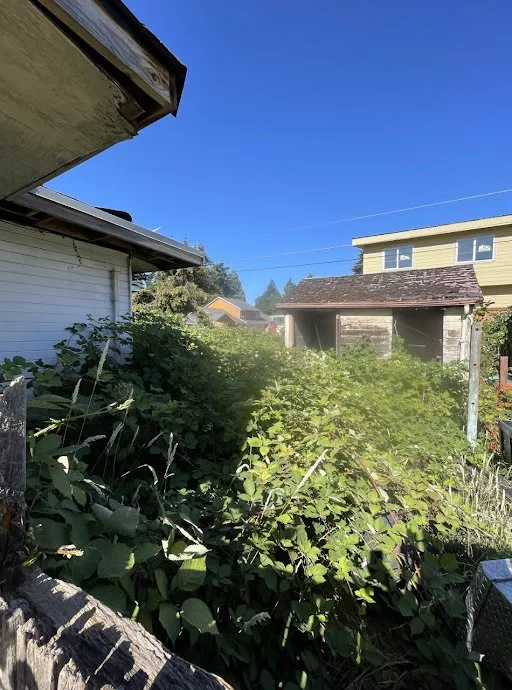 Professional yard maintenance for residential properties in Eugene, OR by Icon Landscaping