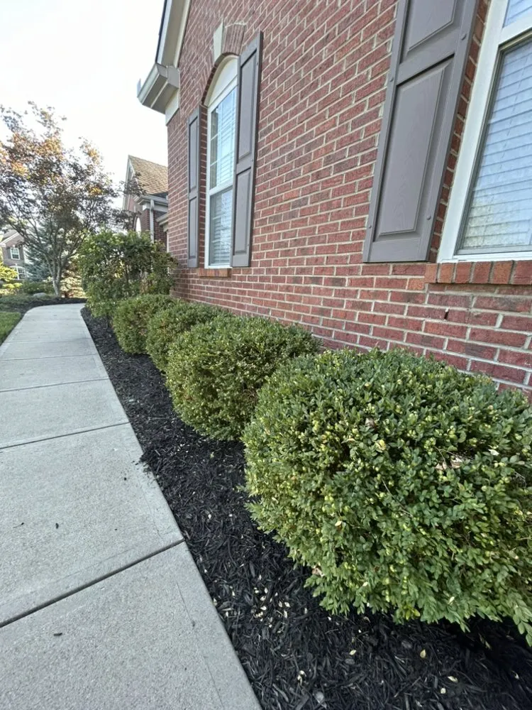 Top-rated lawn care service in Burlington, KY by Icon Lawn Care & Landscaping