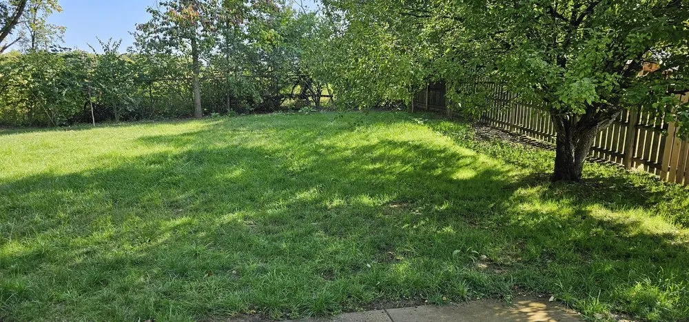 Local yard maintenance experts serving Burlington, KY - Icon Lawn Care & Landscaping