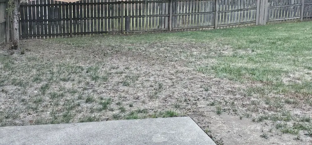 Reliable lawn mowing service for year-round maintenance across Burlington, KY - Icon Lawn Care & Landscaping