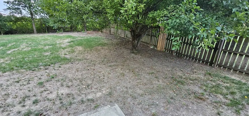 Top-rated yard cleanup service experts serving Burlington, KY - Icon Lawn Care & Landscaping