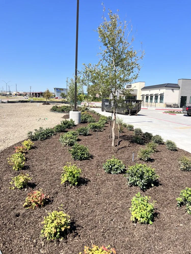 Expert landscaping services in Boyd, TX - Iconic Landscaping