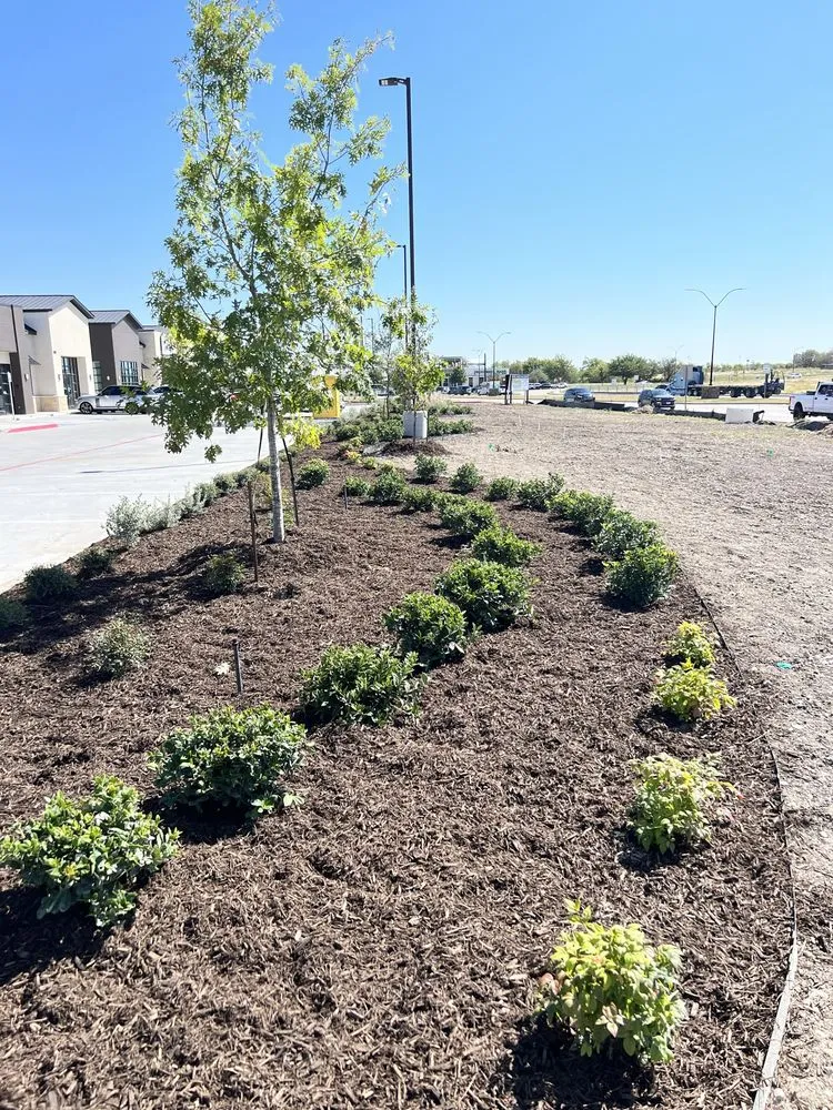 Top-rated residential landscaping near you in Boyd, TX by Iconic Landscaping