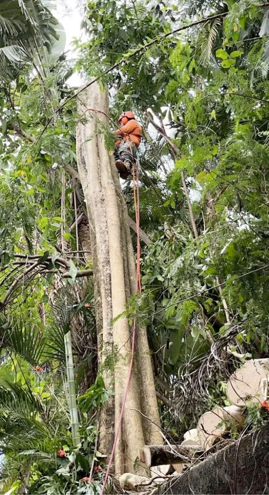 Custom lawn care service near you across Waipahu, HI - Iconic Tree and Landscapes