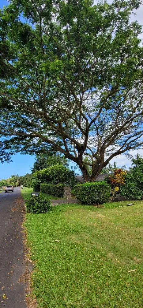 Affordable yard maintenance for homes in Waipahu, HI by Iconic Tree and Landscapes