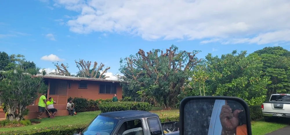 Top-rated residential landscaping experts serving Waipahu, HI - Iconic Tree and Landscapes