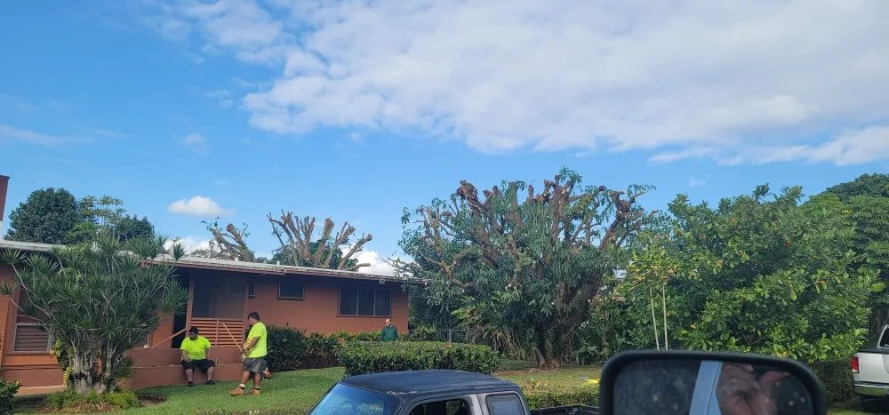 Top-rated landscape installation for beautiful yards across Waipahu, HI - Iconic Tree and Landscapes
