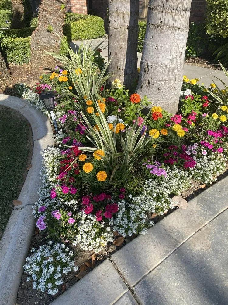 Local outdoor landscaping in Bakersfield, CA - Icos Gardening & Landscape