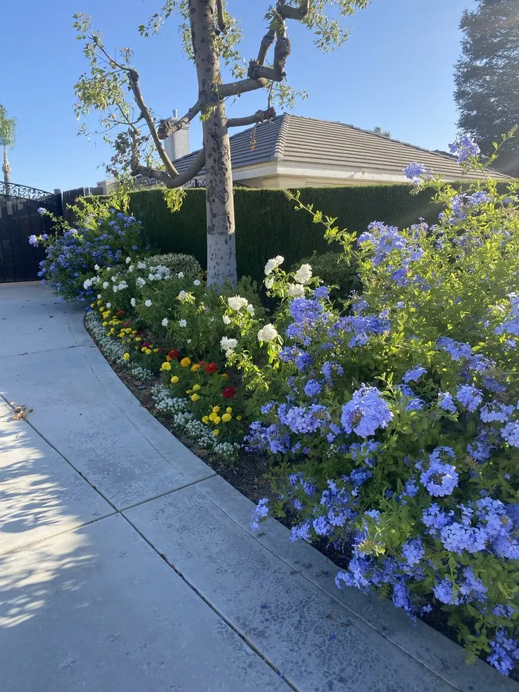 Professional garden landscaping experts serving Bakersfield, CA - Icos Gardening & Landscape