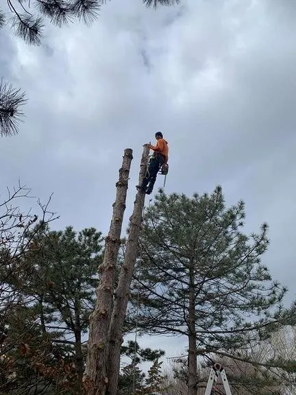 Local lawn mowing service in Wichita, KS by ICT Tree & Landscape