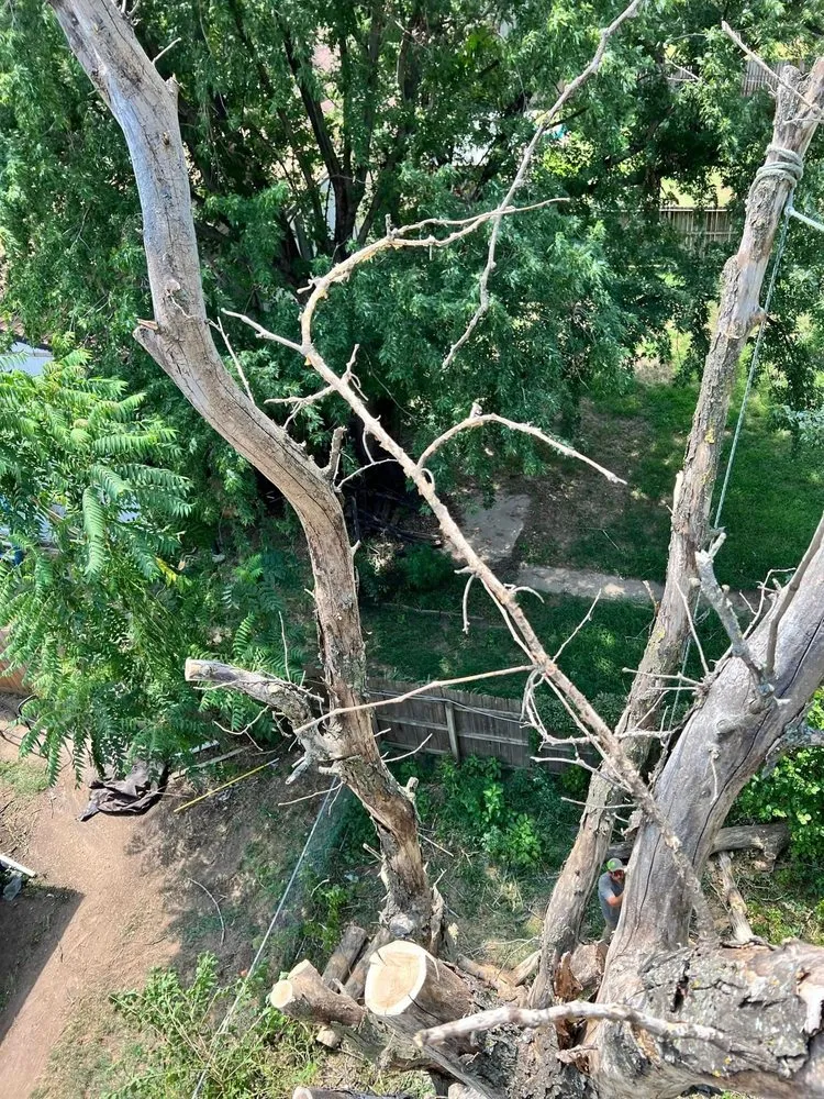 Reliable lawn care service in Wichita, KS by ICT Tree & Landscape