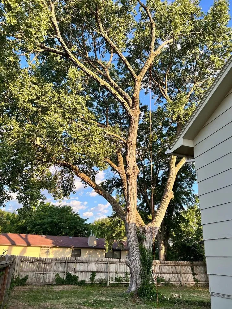 Custom yard maintenance in Wichita, KS by ICT Tree & Landscape