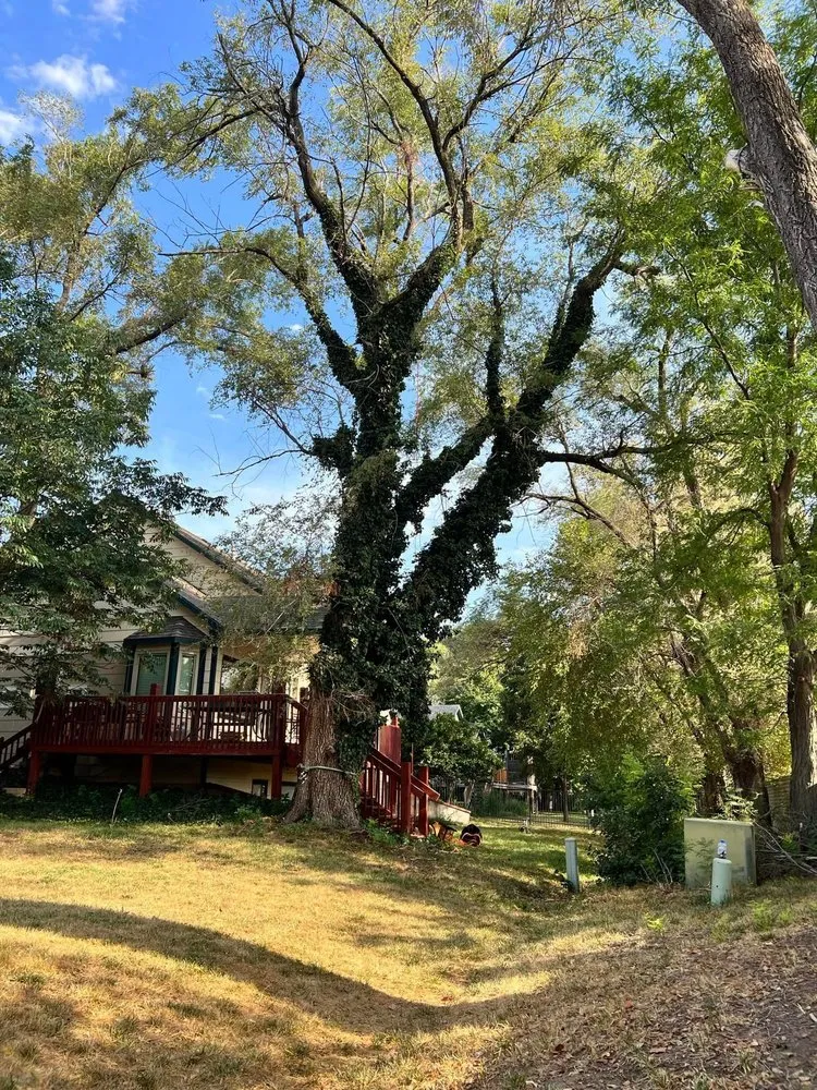 Custom lawn care service in Wichita, KS - ICT Tree & Landscape