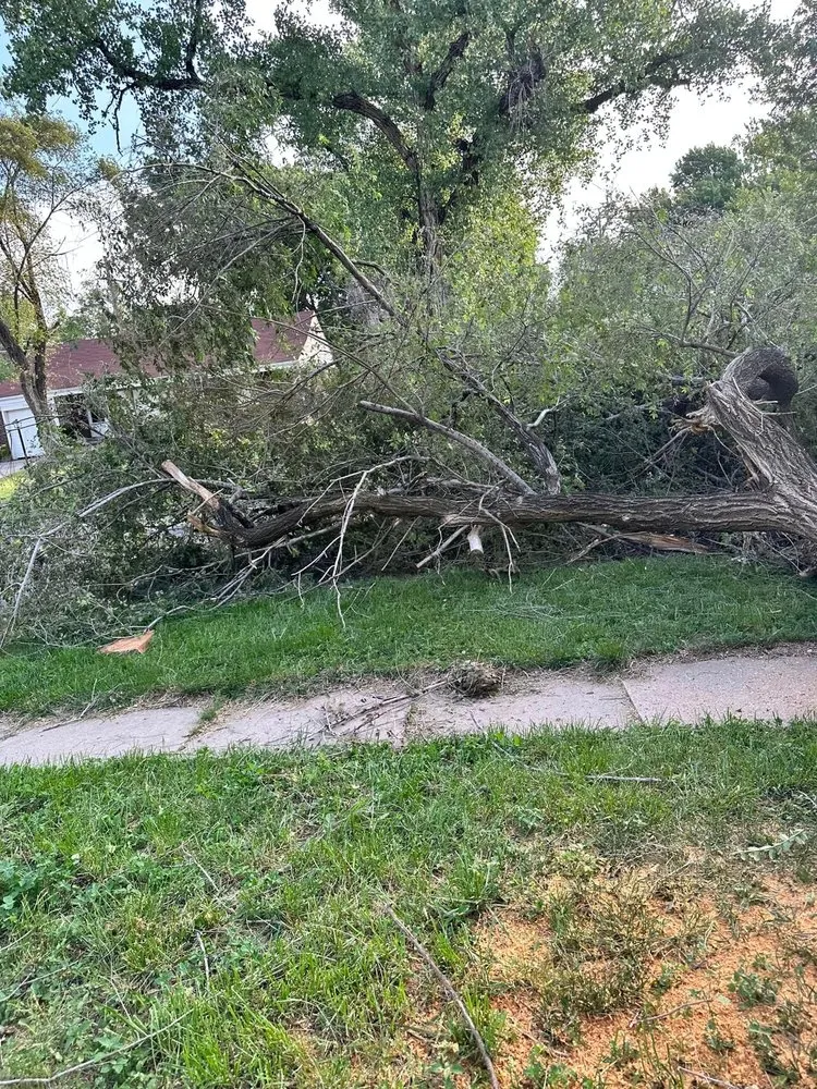 Affordable landscape design experts serving Wichita, KS - ICT Tree & Landscape