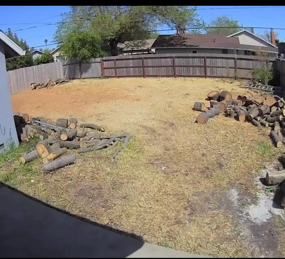 Local landscape installation in Sacramento, CA by ID Tree & Landcare