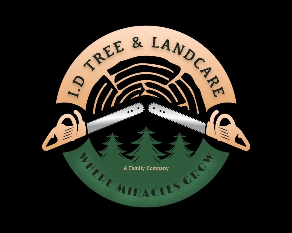 Expert lawn care service with custom design across Sacramento, CA - ID Tree & Landcare