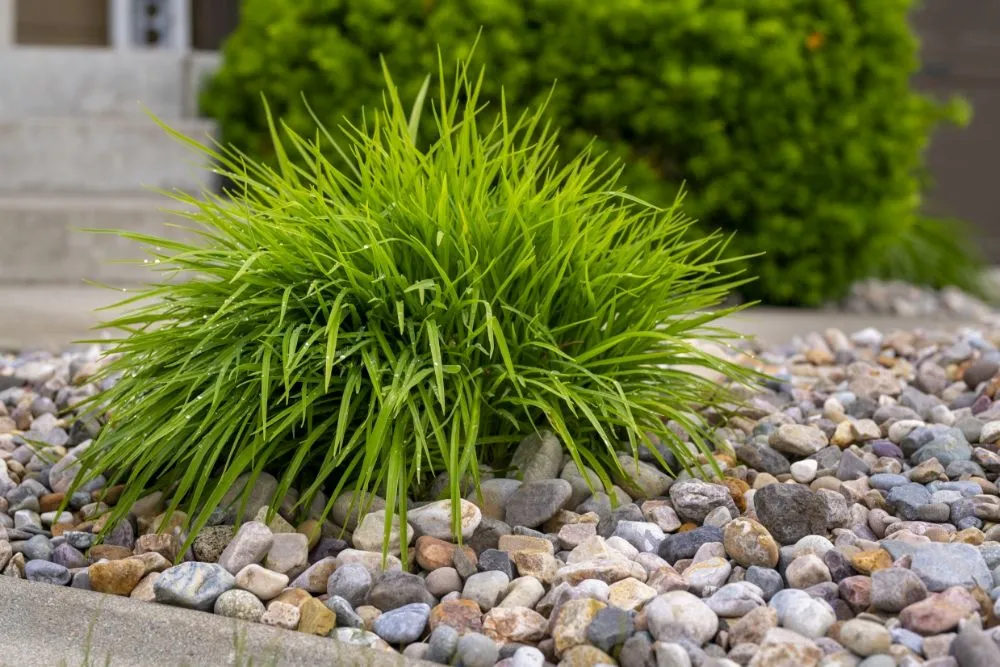 Expert landscape installation for homes in Cocolalla, ID by Ida-Home Hardscapes