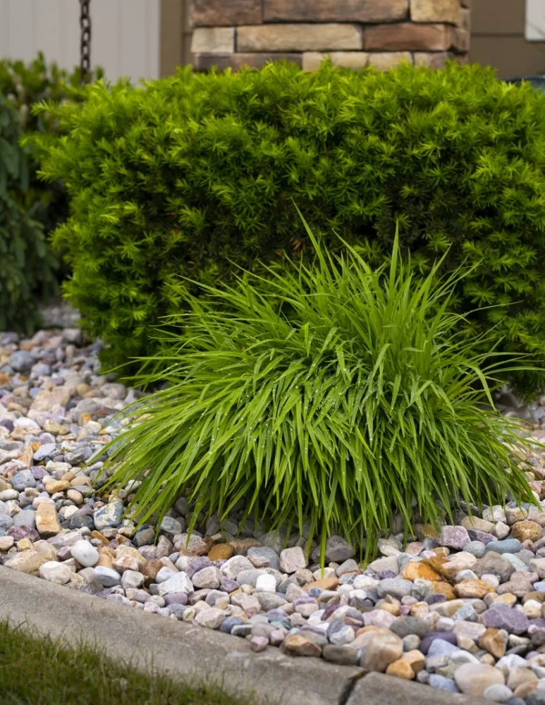 Professional landscape design experts serving Cocolalla, ID - Ida-Home Hardscapes