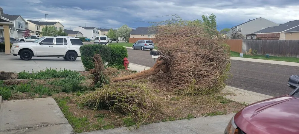 Top-rated residential landscaping for residential properties in Nampa, ID by Idacrest Landscaping