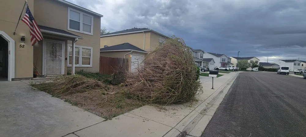 Professional yard maintenance for homes across Nampa, ID - Idacrest Landscaping