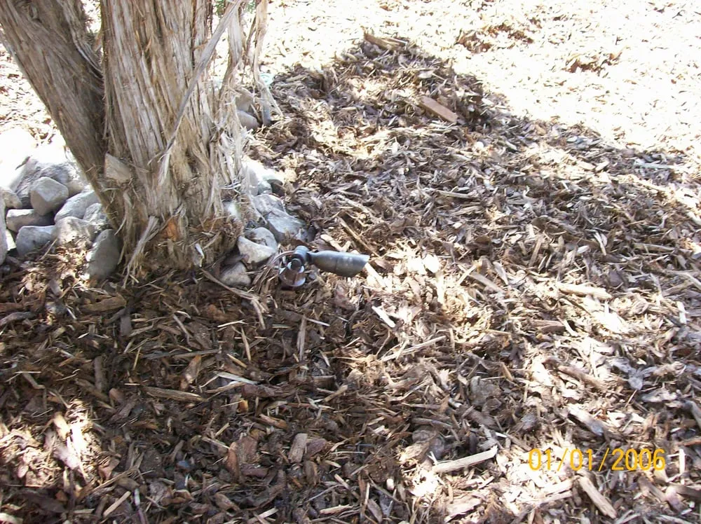 Top-rated garden landscaping in Blackfoot, ID - Idaho Classic Landscape & Sprinkler