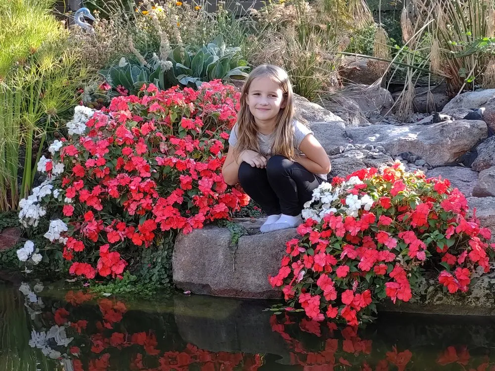 Professional outdoor landscaping experts serving Eagle, ID - Idaho Oasis Ponds and Water Features