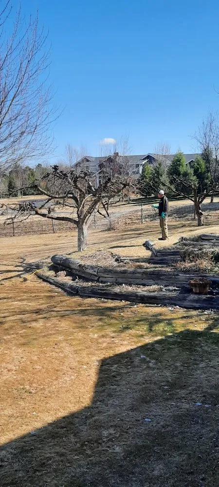 Affordable lawn care service in Twin Falls, ID by Idaho Spray Service