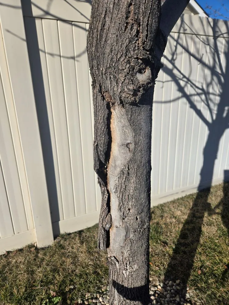 Top-rated landscape installation in Twin Falls, ID by Idaho Spray Service