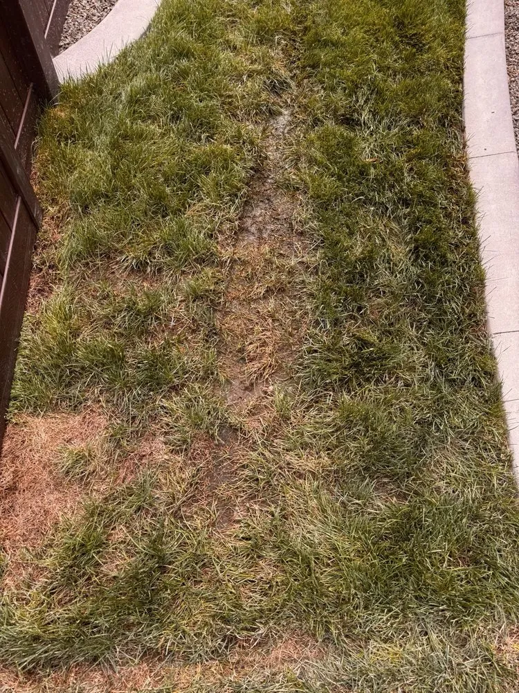 Expert lawn mowing service experts serving Nampa, ID - Idaho Sprinklers
