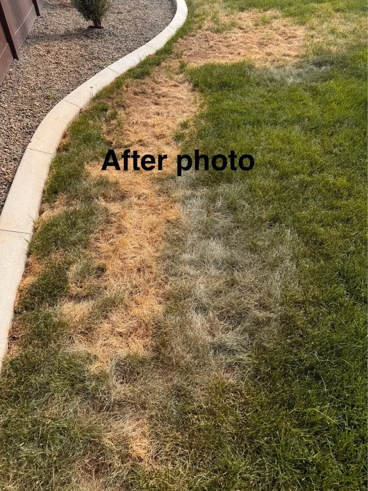 Reliable landscaping services near you in Nampa, ID by Idaho Sprinklers