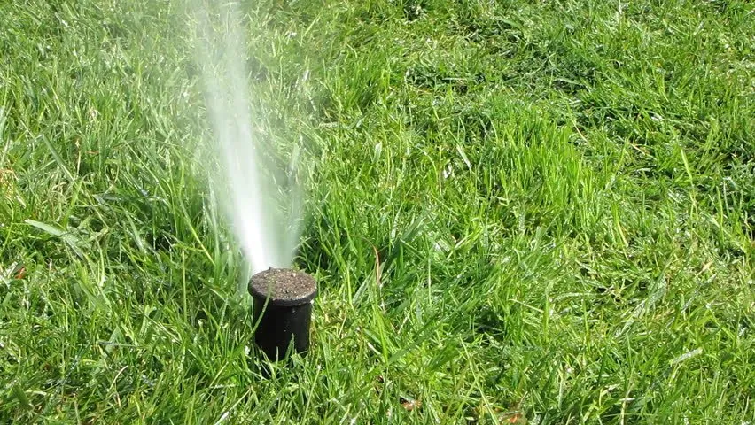 Trusted lawn care service with custom design in Nampa, ID by Idaho Sprinklers