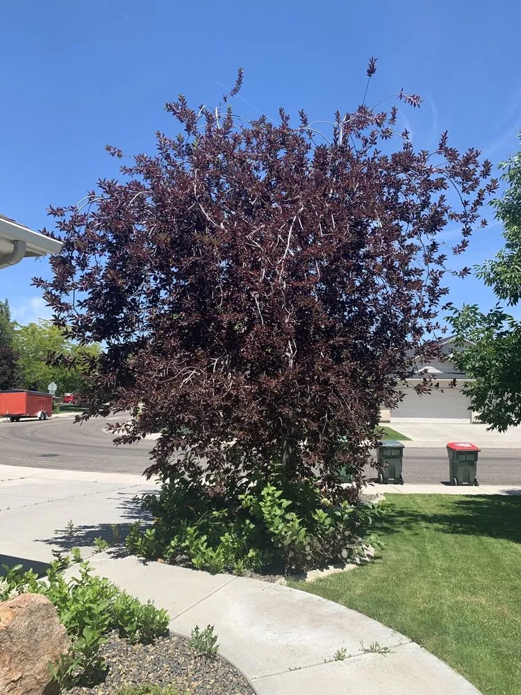 Custom residential landscaping for residential properties in Nampa, ID by IdaHo4Me Landscaping