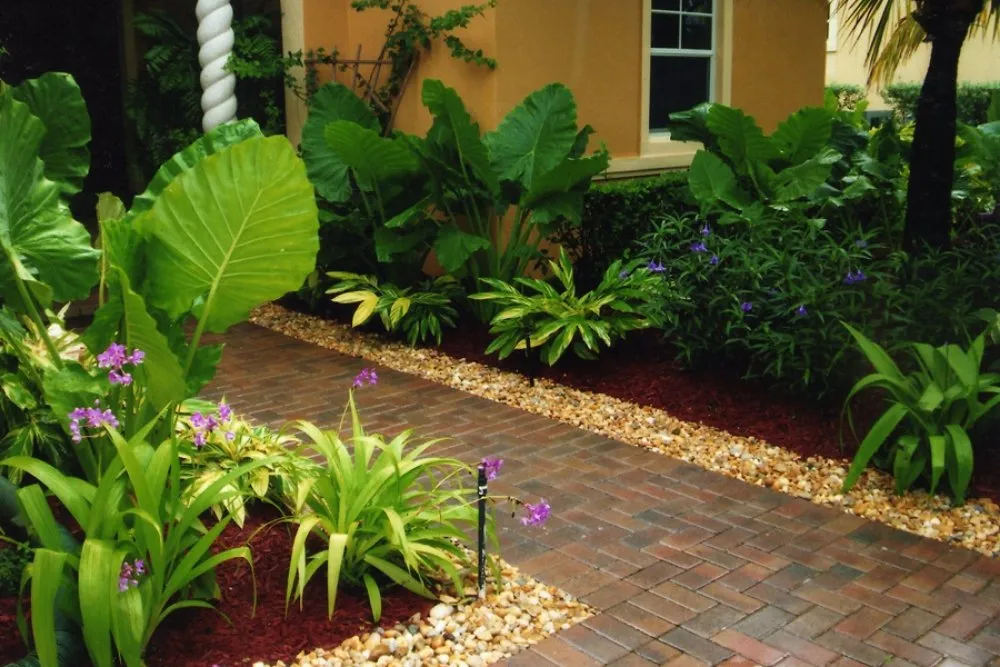Reliable landscape installation experts serving Ruskin, FL - IDC Exotic Landscapes