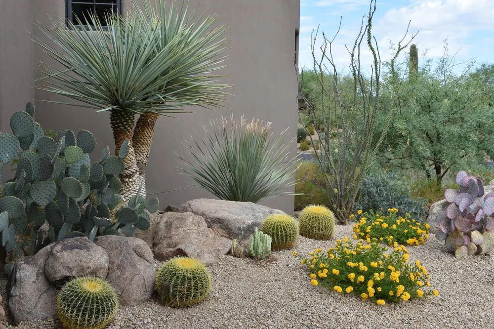 Professional residential landscaping near you across Phoenix, AZ - Iddings & Sons Landscaping