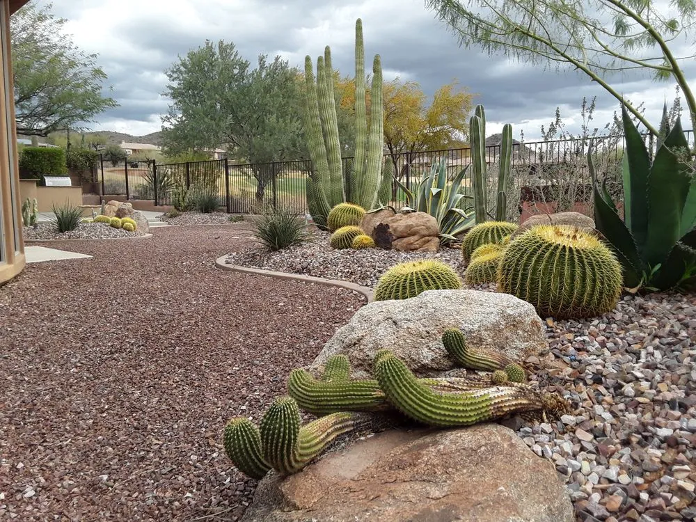 Professional yard maintenance in Phoenix, AZ - Iddings & Sons Landscaping