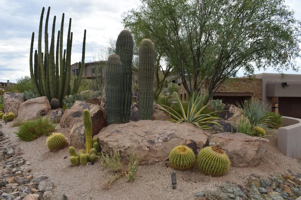 Reliable landscape installation for homes across Phoenix, AZ - Iddings & Sons Landscaping