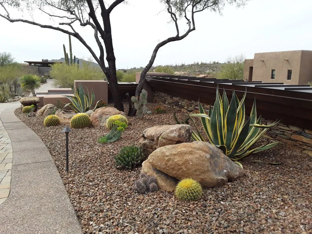 Professional residential landscaping with custom design in Phoenix, AZ by Iddings & Sons Landscaping