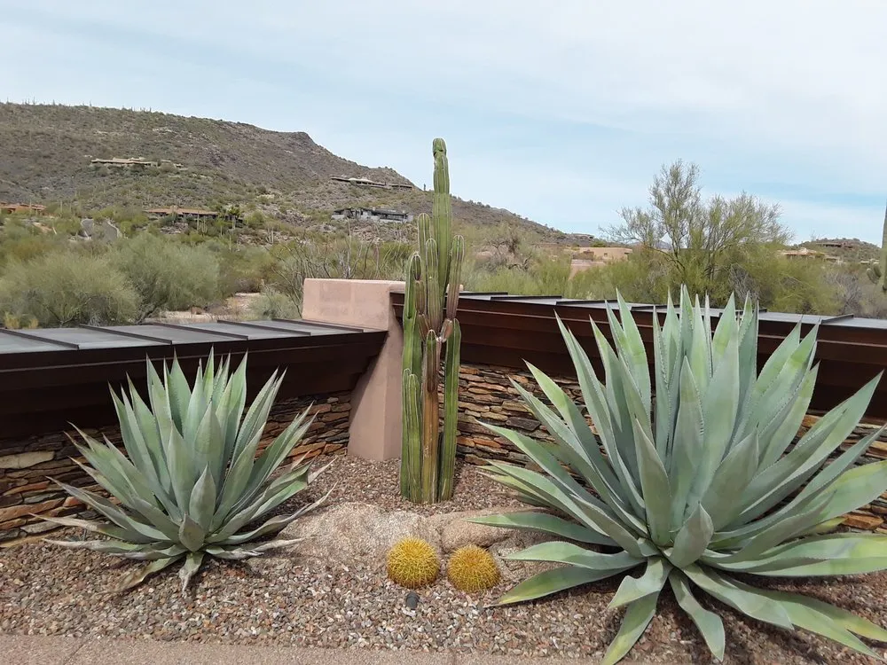 Local yard maintenance for homes across Phoenix, AZ - Iddings & Sons Landscaping