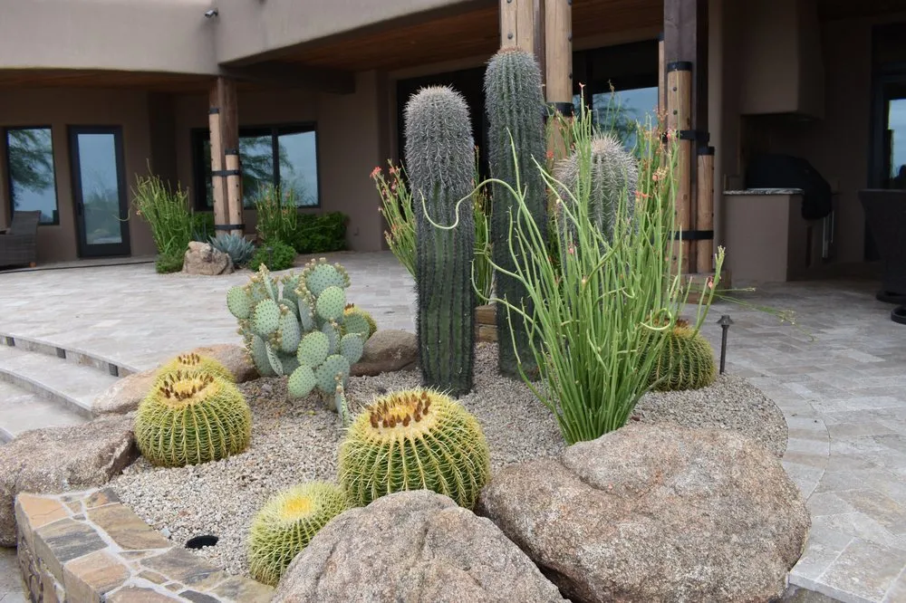 Trusted lawn care service for homes in Phoenix, AZ by Iddings & Sons Landscaping