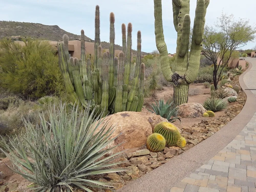 Local residential landscaping in Phoenix, AZ - Iddings & Sons Landscaping