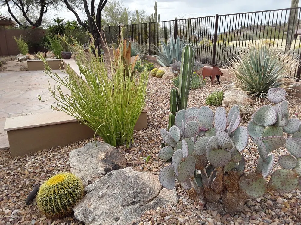 Top-rated landscape installation for residential properties across Phoenix, AZ - Iddings & Sons Landscaping