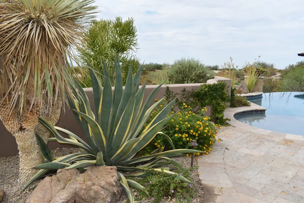 Custom outdoor landscaping in Phoenix, AZ - Iddings & Sons Landscaping