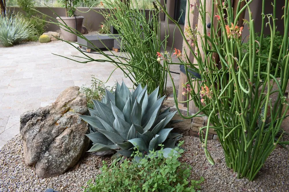 Reliable landscape design for year-round maintenance in Phoenix, AZ by Iddings & Sons Landscaping
