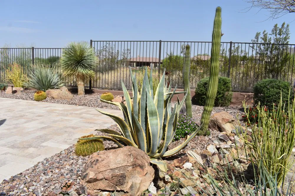 Custom lawn mowing service with custom design in Phoenix, AZ by Iddings & Sons Landscaping