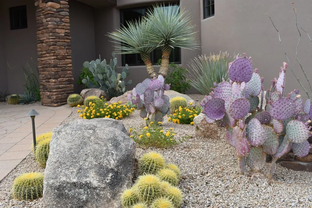 Affordable residential landscaping in Phoenix, AZ by Iddings & Sons Landscaping